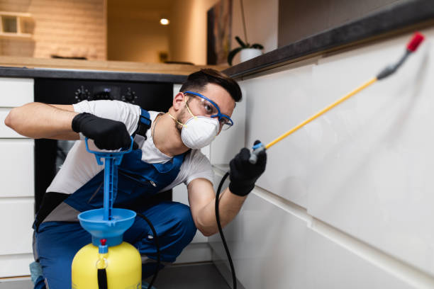 Best Affordable Pest Control Services  in Eagle, ID
