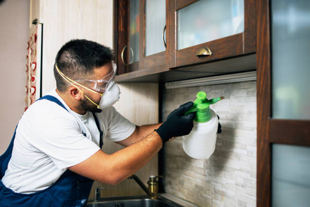 Best Pest Prevention Services  in Eagle, ID