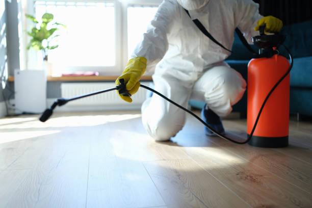 Best Flea Control Services  in Eagle, ID
