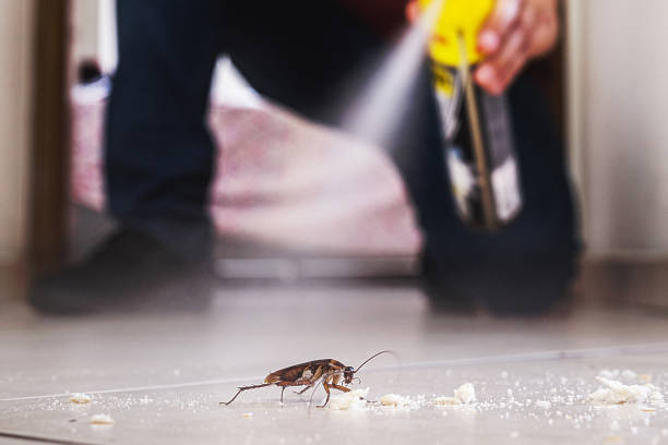 Best Commercial Pest Control Services  in Eagle, ID